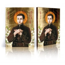 Icon of Saint Stanislaus Kostka