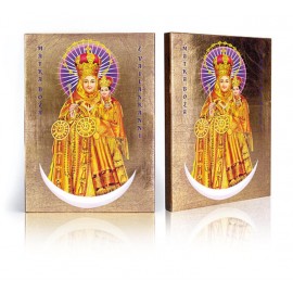 Icon of Our Lady of Vailankanni, Our Lady of Good Health