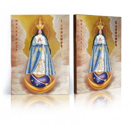 Icon of Our Lady of Miracles of Caacupé