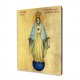Icon of Our Lady of Compassion and Mercy