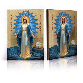 Icon of Our Lady Star of the Sea