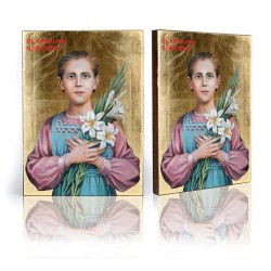 Icon of Blessed Karolina Kózka, Blessed Karolina Kozka